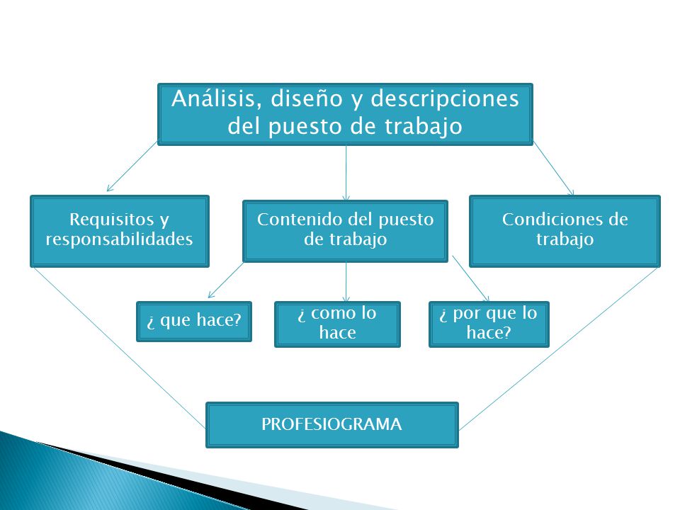 Analysis de puestos de trabajo pdf995